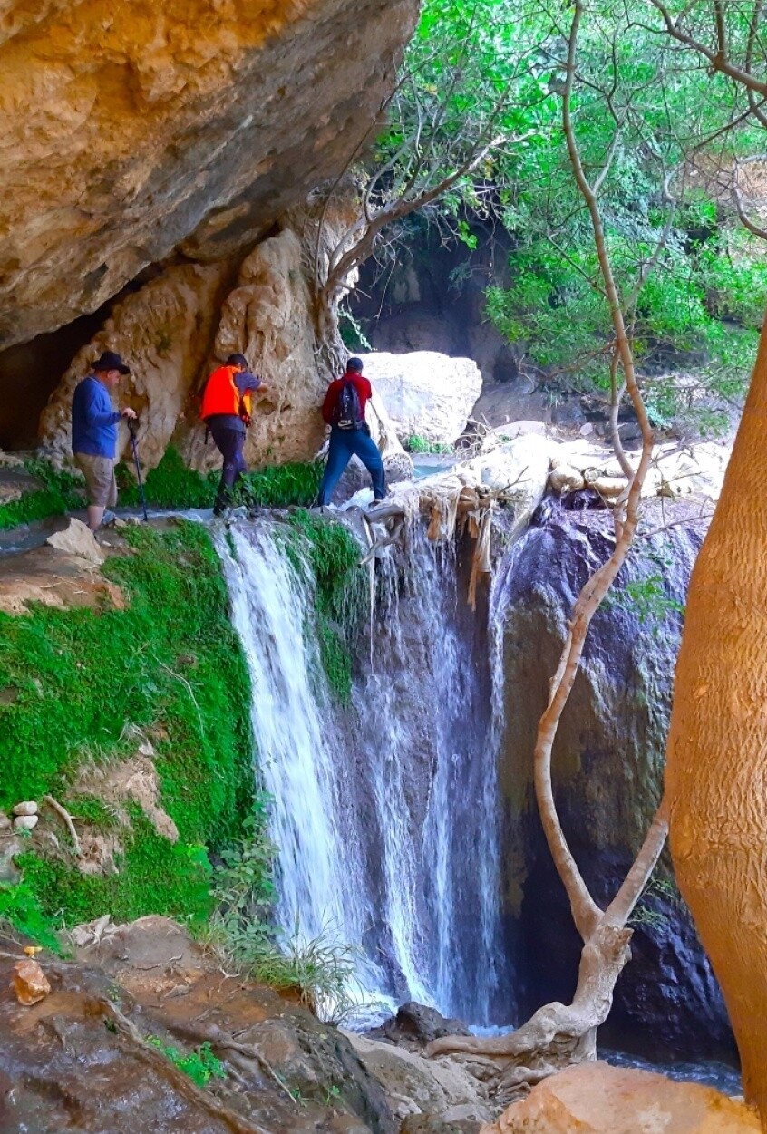 آبشار تنگ تامرادی