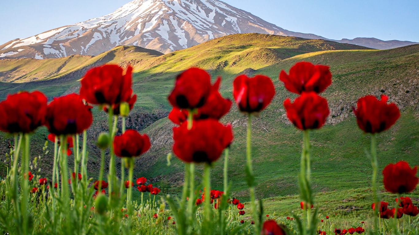 دشت لار آمل ،مازندران