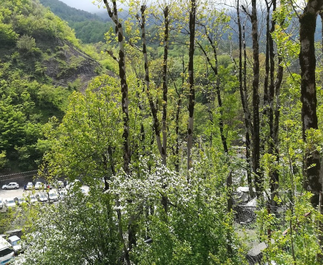 چشمه های آب معدنی علی زاخونی و زمزمه ،جاذبه های دیدنی و گردشگری فومن