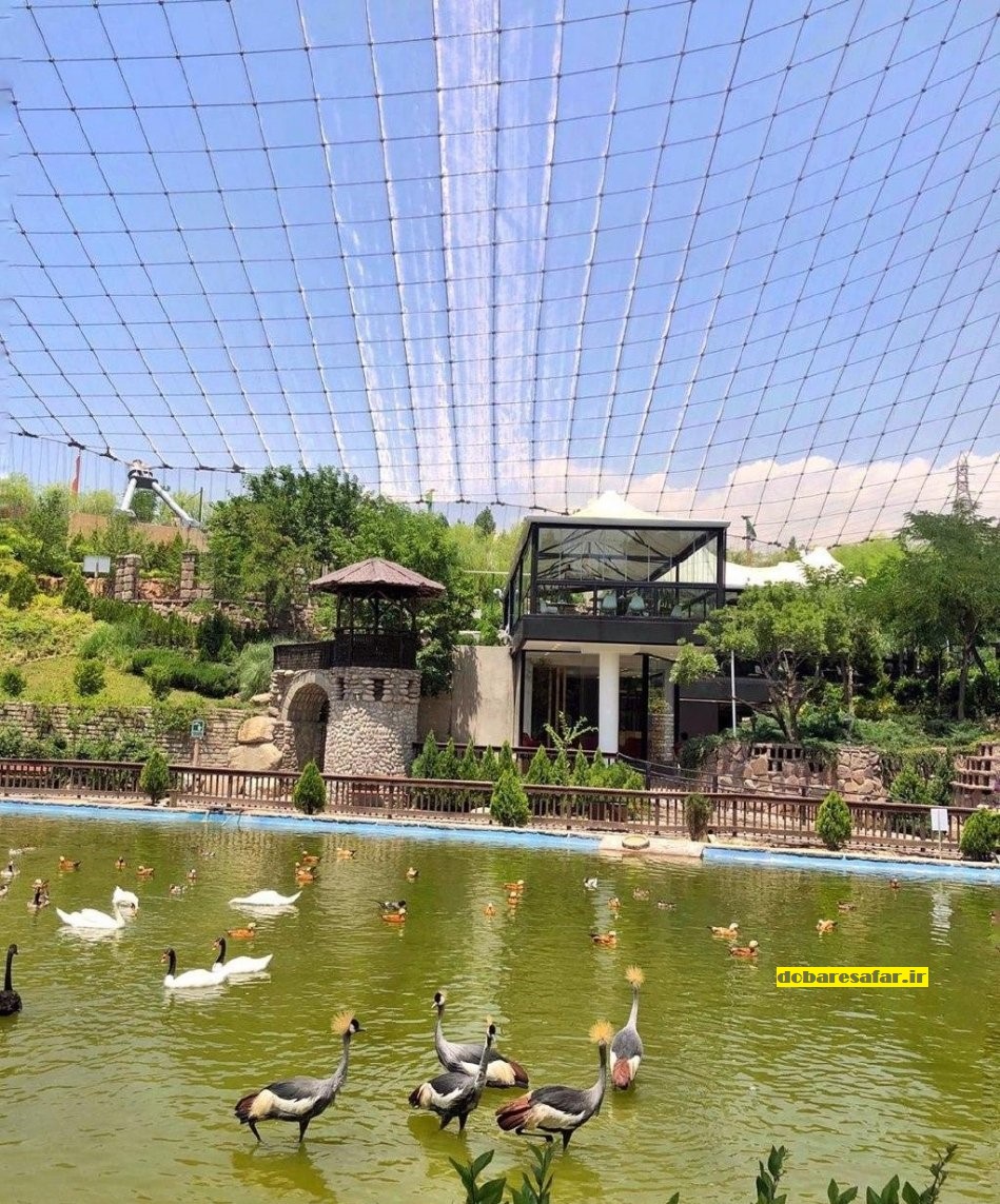 باغ پرندگان، شیان