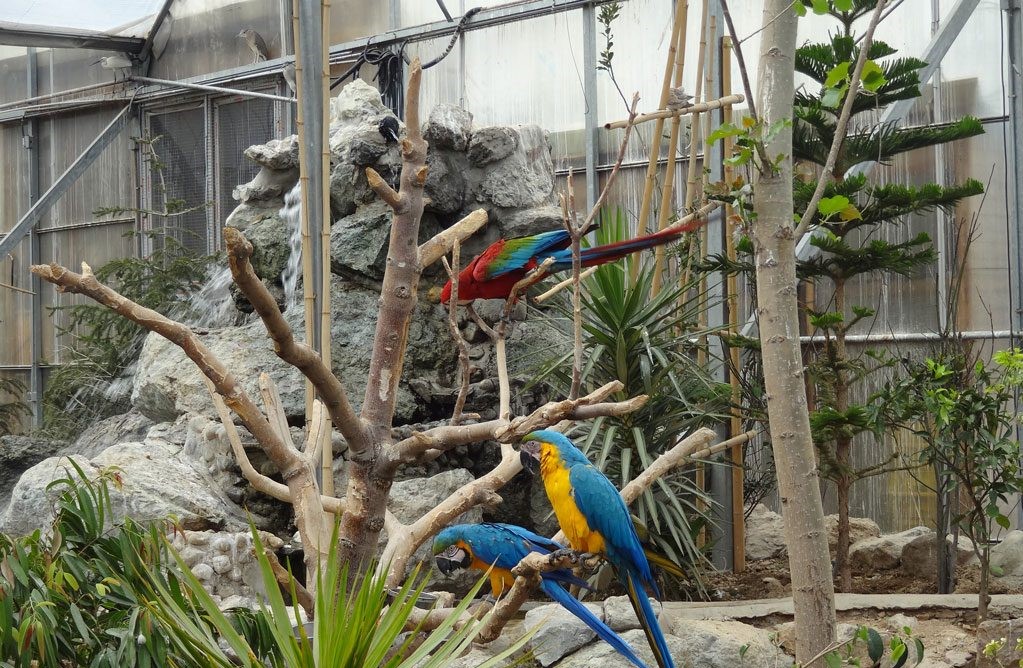 باغ پرندگان ، پارک جنگلی شیان