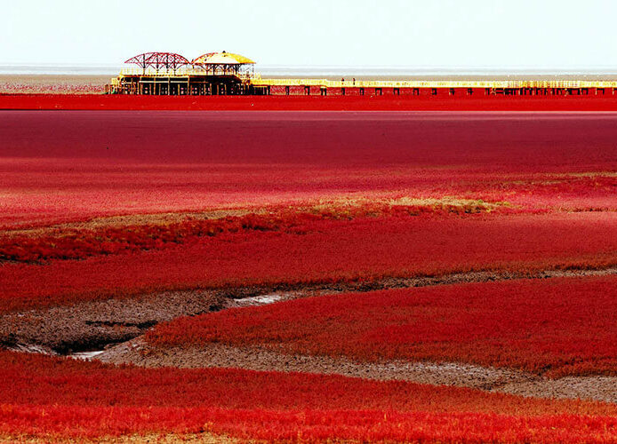 ساحل قرمز پانجین