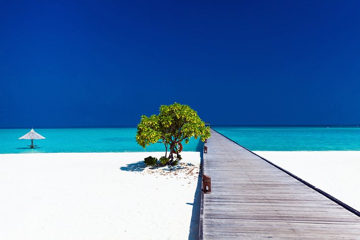 سواحل مالدیو