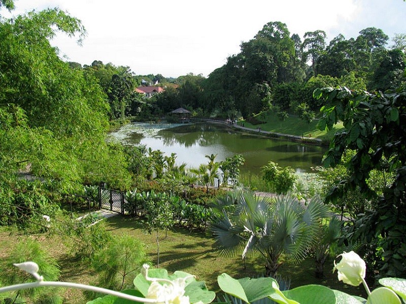  باغ بوتانیکال کیشیناو