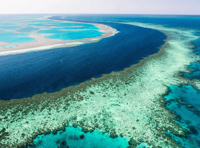 دیواره‌ بزرگ مرجانی کوئینزلند