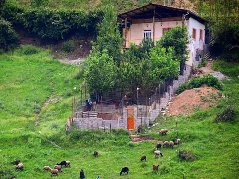 اقامتگاه های روستای زیارت
