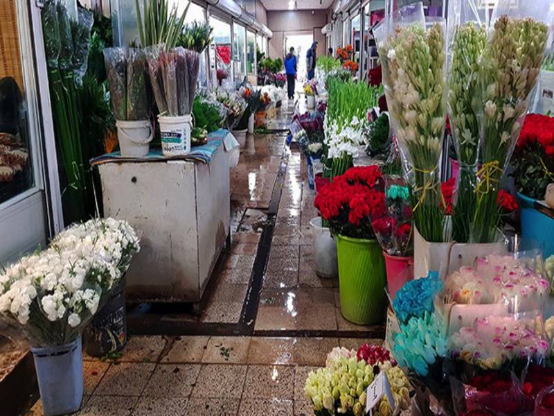 بهترین زمان رفتن به بازار گل مشهد