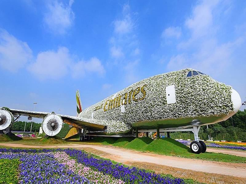 ایرباس A380 در باغ گل دبی