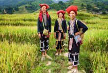 روستاهای سنتی و فرهنگ قومیت‌های مختلف ویتنام