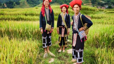 روستاهای سنتی و فرهنگ قومیت‌های مختلف ویتنام