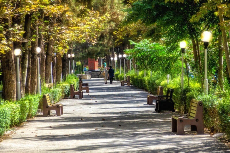 اثرات مثبت بر سلامت جسمی و روانی در پارک جنگلی افرا تهران