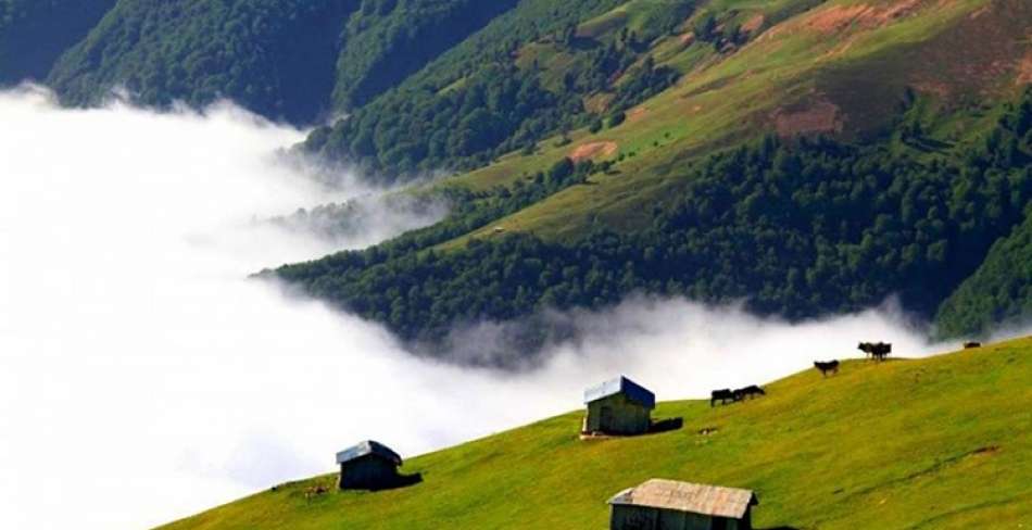 لذت از طبیعت اطراف روستای دلیر