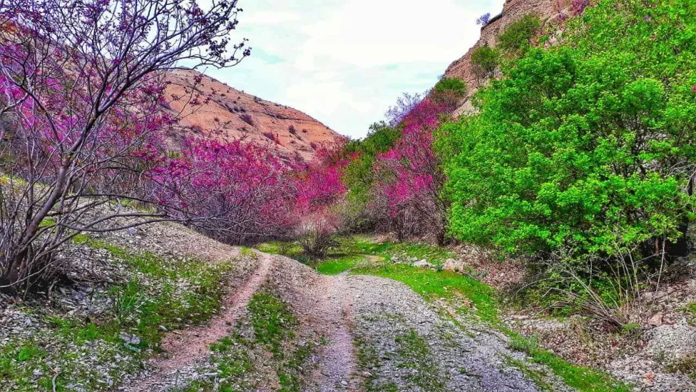 نکاتی برای سفر ایمن به دره چریک درگز