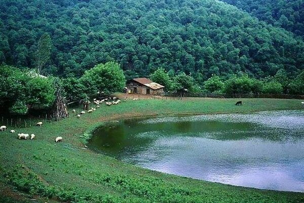 بهترین فصل سفر به دریاچه ویستان؛ چه زمانی جادوی طبیعت را ببینیم؟