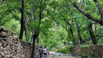 آبشار اخلمد | راهنمای کامل بازدید، مسیرها، بهترین فصل و تفریحات طبیعت‌گردی