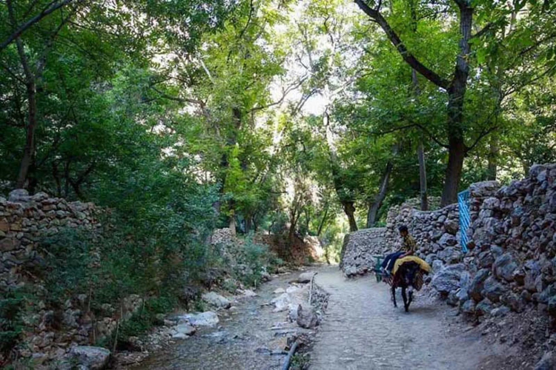 بهترین فصل بازدید از آبشار اخلمد