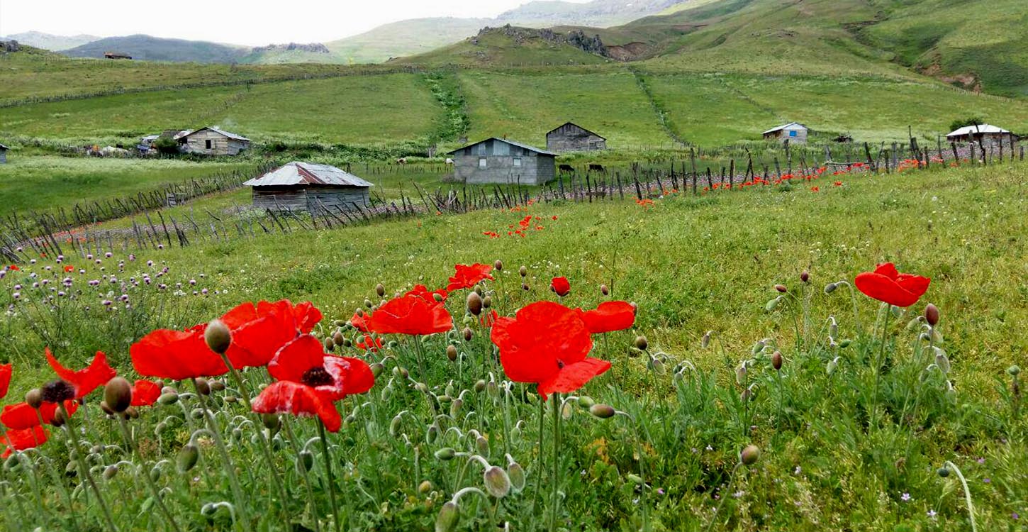 راهنمای کامل سفر از نئور به سوباتان