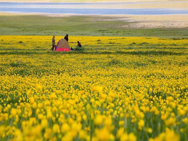 راهنمای کامل سفر از نئور به سوباتان