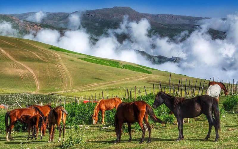 راهنمای کامل سفر از نئور به سوباتان