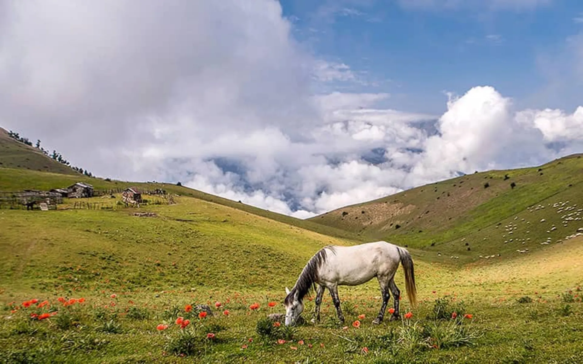 فعالیت‌ها و تفریحات در روستای سوباتان