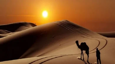 فعالیت‌های تفریحی در کویر