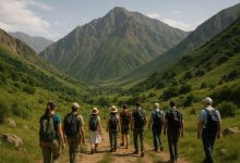 مهرگل سیر تجربه‌ای متفاوت از سفر با تورهای داخلی و خارجی