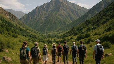 مهرگل سیر تجربه‌ای متفاوت از سفر با تورهای داخلی و خارجی